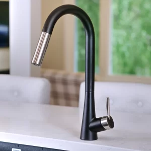 Tapmaster Pull Down Kitchen Faucet