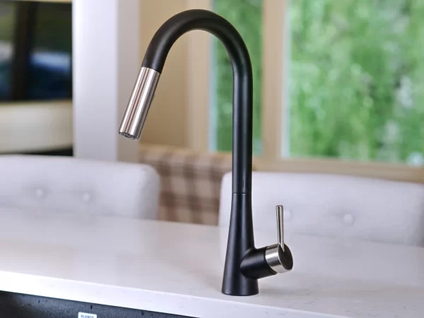 Tapmaster Pull Down Kitchen Faucet
